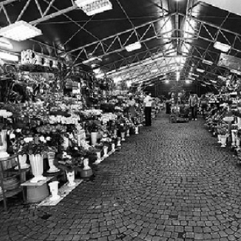 Piata Flora Piata de flori (market) - Extra Extra Magazine
