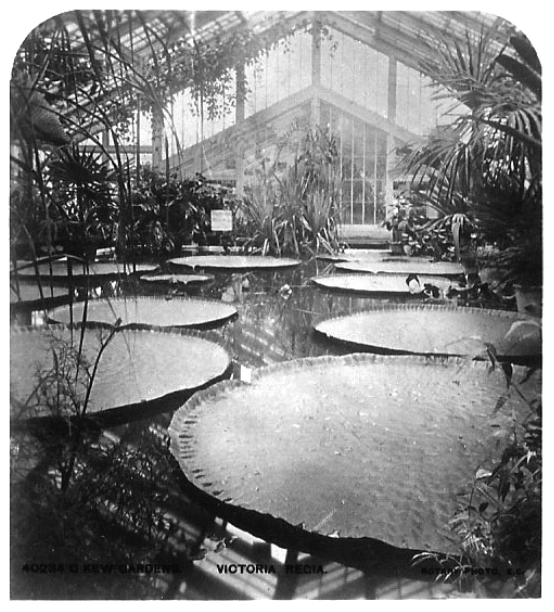 The world’s largest Victorian glasshouse, Royal Botanical Garden, Kew.